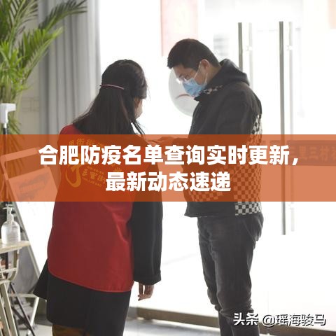 合肥防疫名單查詢實時更新，最新動態(tài)速遞
