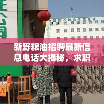 新野糧油招聘最新信息電話大揭秘，求職者福音，優(yōu)質(zhì)職位等你來挑！