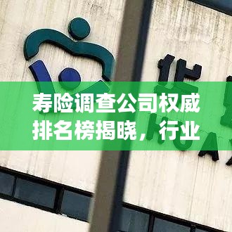 壽險(xiǎn)調(diào)查公司權(quán)威排名榜揭曉，行業(yè)格局與評估報(bào)告重磅發(fā)布！