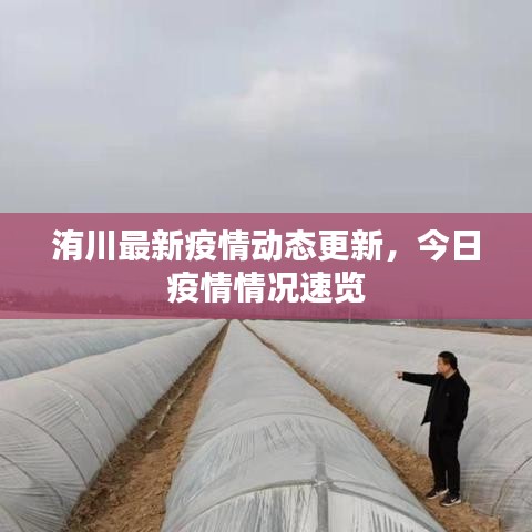 洧川最新疫情動(dòng)態(tài)更新，今日疫情情況速覽