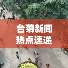 臺(tái)菊新聞熱點(diǎn)速遞，最新頭條報(bào)道搶先看！