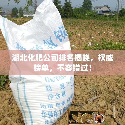 湖北化肥公司排名揭曉，權(quán)威榜單，不容錯過！