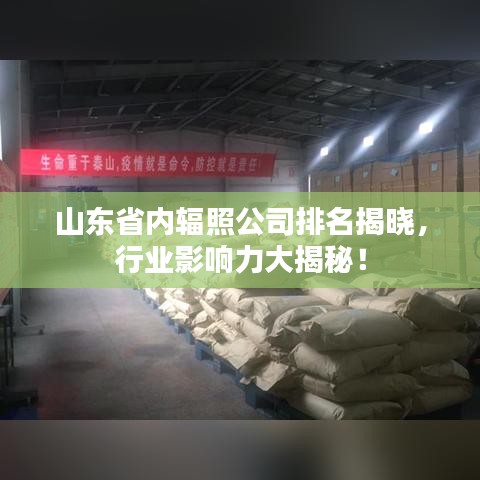 山東省內(nèi)輻照公司排名揭曉，行業(yè)影響力大揭秘！
