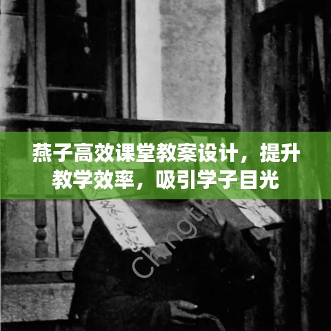 燕子高效課堂教案設(shè)計(jì)，提升教學(xué)效率，吸引學(xué)子目光