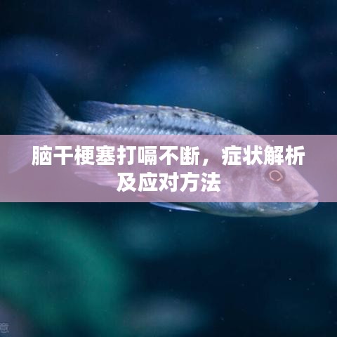 鳥驚魚駭 第2頁