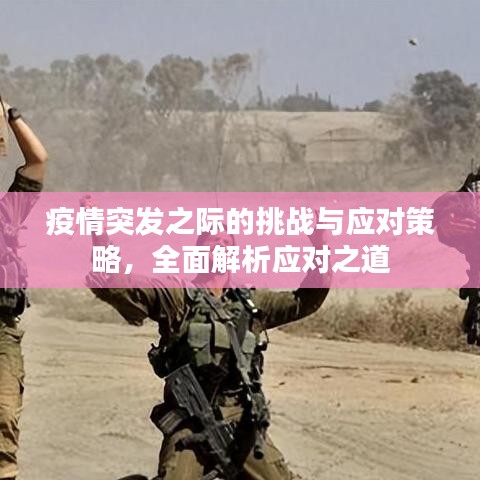 疫情突發(fā)之際的挑戰(zhàn)與應(yīng)對(duì)策略，全面解析應(yīng)對(duì)之道