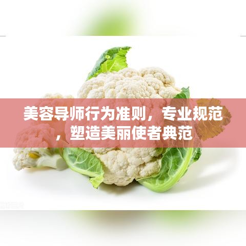 美容導(dǎo)師行為準(zhǔn)則，專(zhuān)業(yè)規(guī)范，塑造美麗使者典范
