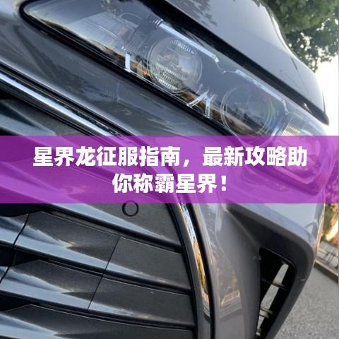 星界龍征服指南，最新攻略助你稱(chēng)霸星界！