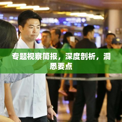 專題視察簡報，深度剖析，洞悉要點