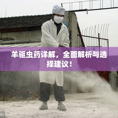 羊驅(qū)蟲藥詳解，全面解析與選擇建議！