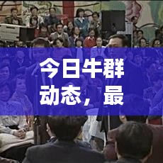 今日牛群動態(tài)，最新消息視頻匯總