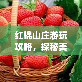 紅棉山莊游玩攻略，探秘美景，盡享度假時(shí)光！
