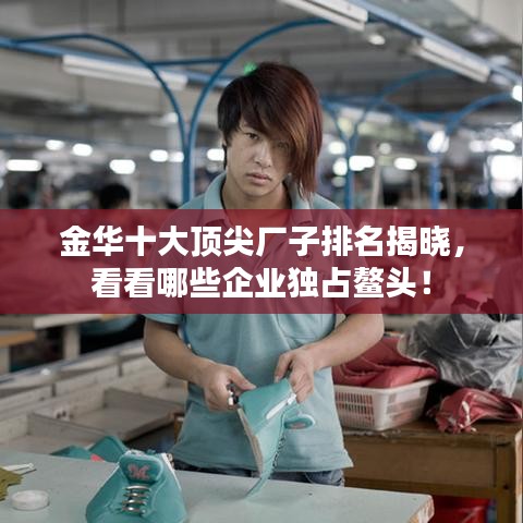 金華十大頂尖廠子排名揭曉，看看哪些企業(yè)獨(dú)占鰲頭！
