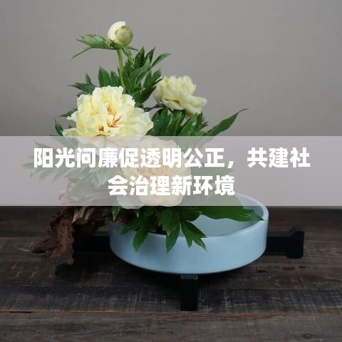 陽光問廉促透明公正，共建社會治理新環(huán)境