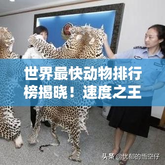 世界最快動(dòng)物排行榜揭曉！速度之王究竟是誰(shuí)？