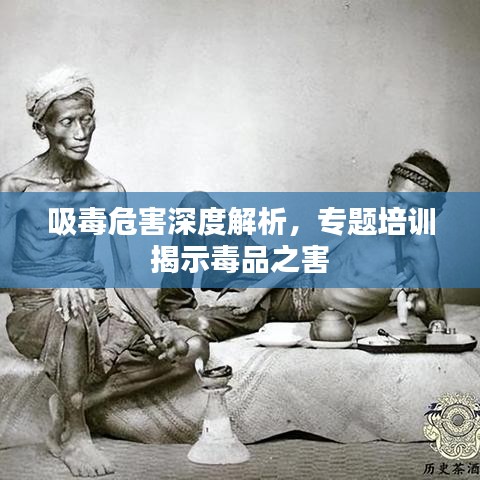 吸毒危害深度解析，專題培訓揭示毒品之害