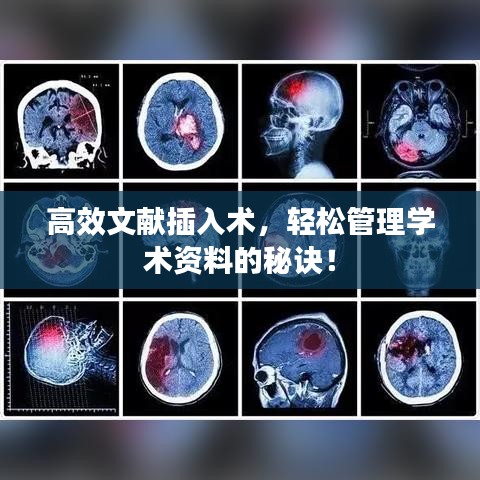高效文獻(xiàn)插入術(shù)，輕松管理學(xué)術(shù)資料的秘訣！
