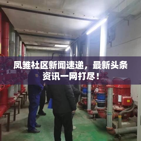 鳳雛社區(qū)新聞速遞，最新頭條資訊一網(wǎng)打盡！