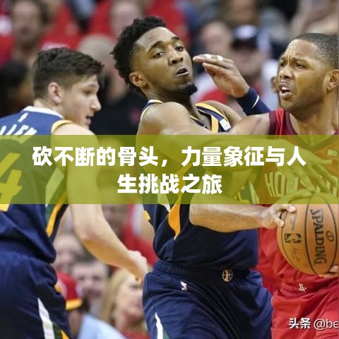 砍不斷的骨頭，力量象征與人生挑戰(zhàn)之旅