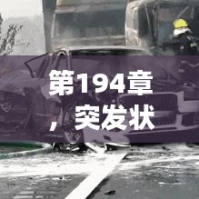 第194章，突發(fā)狀況緊急來襲