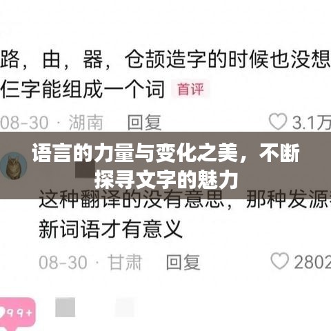 語言的力量與變化之美，不斷探尋文字的魅力