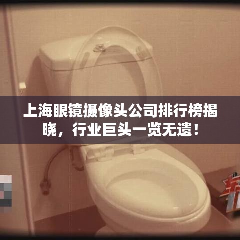 上海眼鏡攝像頭公司排行榜揭曉，行業(yè)巨頭一覽無(wú)遺！
