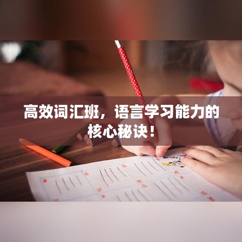 高效詞匯班，語言學(xué)習(xí)能力的核心秘訣！