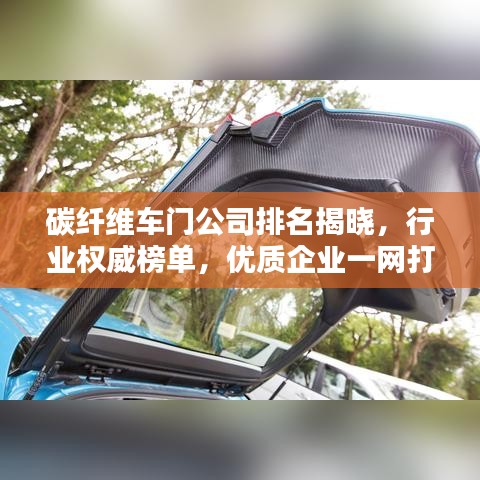 碳纖維車門公司排名揭曉，行業(yè)權(quán)威榜單，優(yōu)質(zhì)企業(yè)一網(wǎng)打盡！