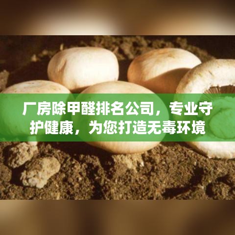 廠房除甲醛排名公司，專業(yè)守護(hù)健康，為您打造無毒環(huán)境