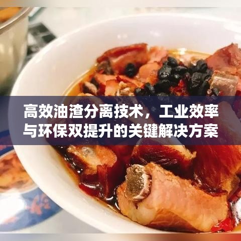 高效油渣分離技術(shù)，工業(yè)效率與環(huán)保雙提升的關(guān)鍵解決方案