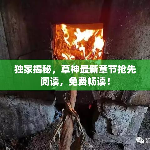 獨家揭秘，草神最新章節(jié)搶先閱讀，免費暢讀！
