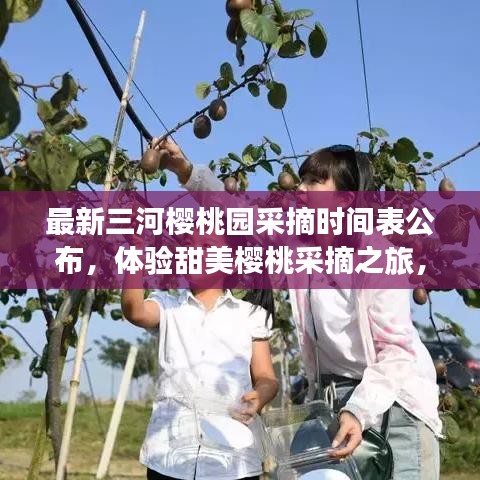 最新三河櫻桃園采摘時間表公布，體驗甜美櫻桃采摘之旅，盡享自然盛宴！