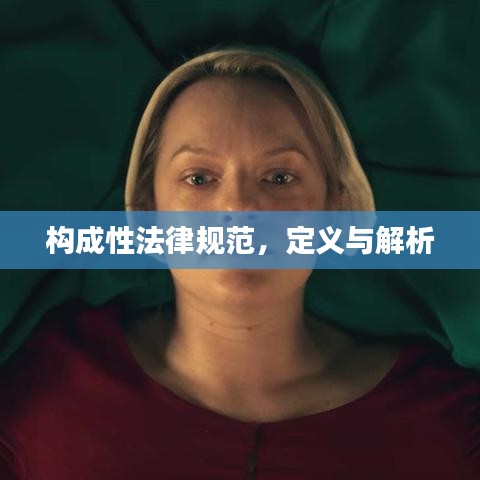 構(gòu)成性法律規(guī)范，定義與解析