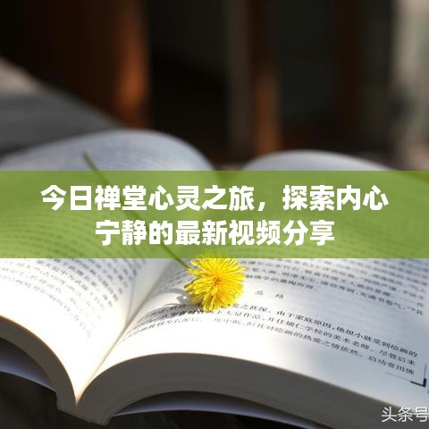 今日禪堂心靈之旅，探索內(nèi)心寧靜的最新視頻分享
