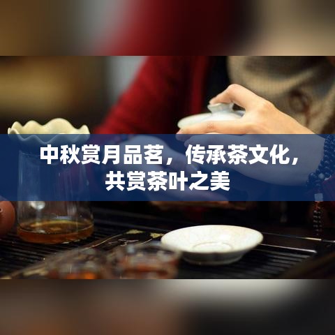 中秋賞月品茗，傳承茶文化，共賞茶葉之美