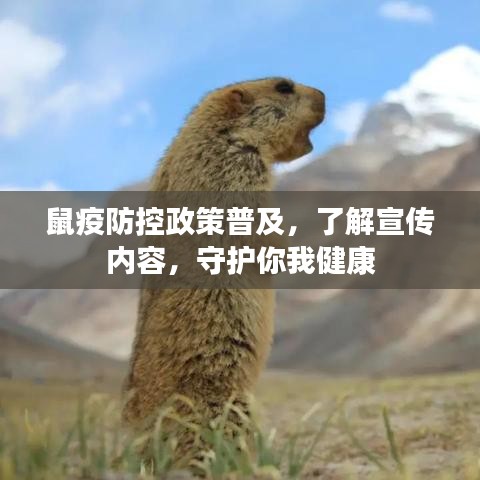 鼠疫防控政策普及，了解宣傳內(nèi)容，守護(hù)你我健康