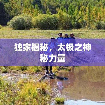 獨(dú)家揭秘，太極之神秘力量