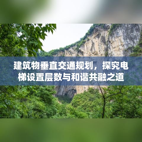 建筑物垂直交通規(guī)劃，探究電梯設(shè)置層數(shù)與和諧共融之道