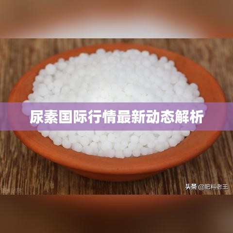 尿素國際行情最新動(dòng)態(tài)解析