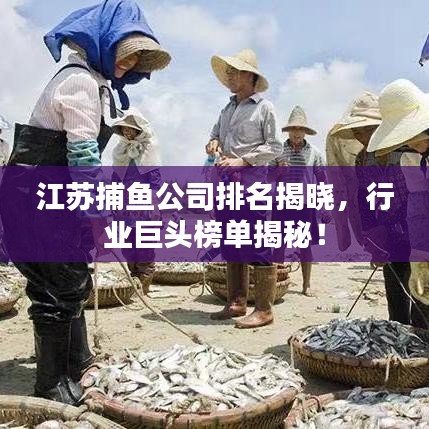 江蘇捕魚公司排名揭曉，行業(yè)巨頭榜單揭秘！