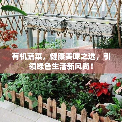 有機蔬菜，健康美味之選，引領綠色生活新風尚！