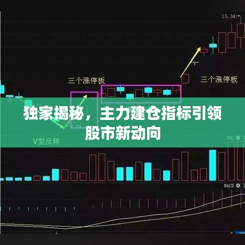 獨家揭秘，主力建倉指標引領股市新動向