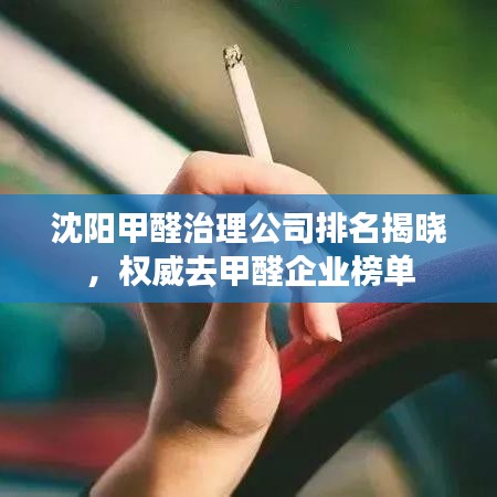 沈陽甲醛治理公司排名揭曉，權(quán)威去甲醛企業(yè)榜單