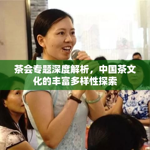 茶會(huì)專題深度解析，中國(guó)茶文化的豐富多樣性探索