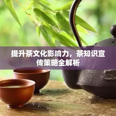 提升茶文化影響力，茶知識(shí)宣傳策略全解析