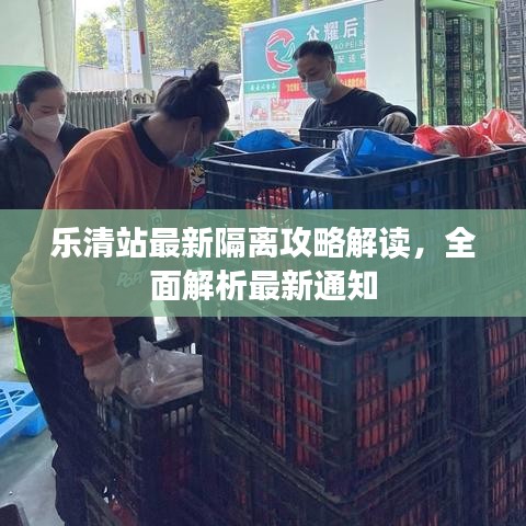 樂清站最新隔離攻略解讀，全面解析最新通知