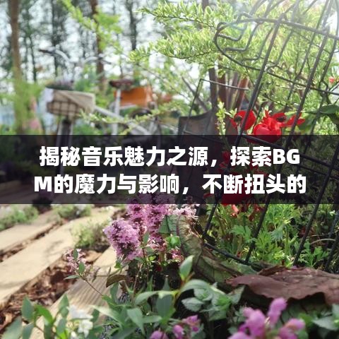 揭秘音樂魅力之源，探索BGM的魔力與影響，不斷扭頭的韻律震撼