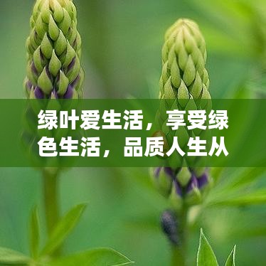 豪門貴胄 第2頁