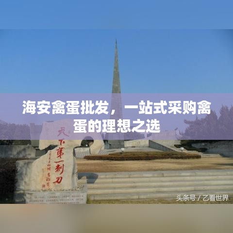 海安禽蛋批發(fā)，一站式采購禽蛋的理想之選