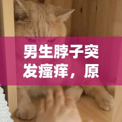 男生脖子突發(fā)瘙癢，原因解析、處理方法與預(yù)防策略